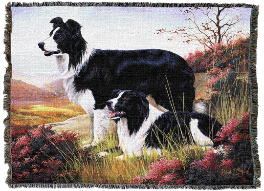 Border Collie Throw