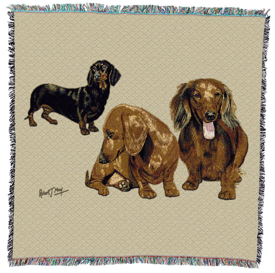 Dachshund Puppies Small Throw
