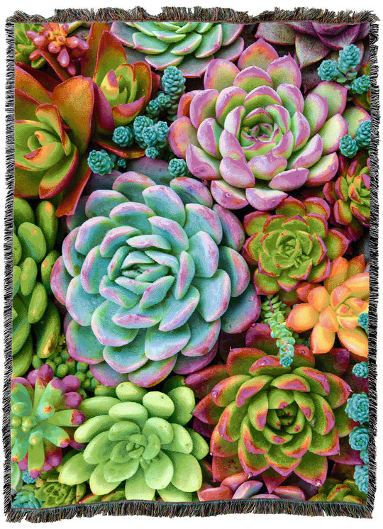 Bright Succulents Throw