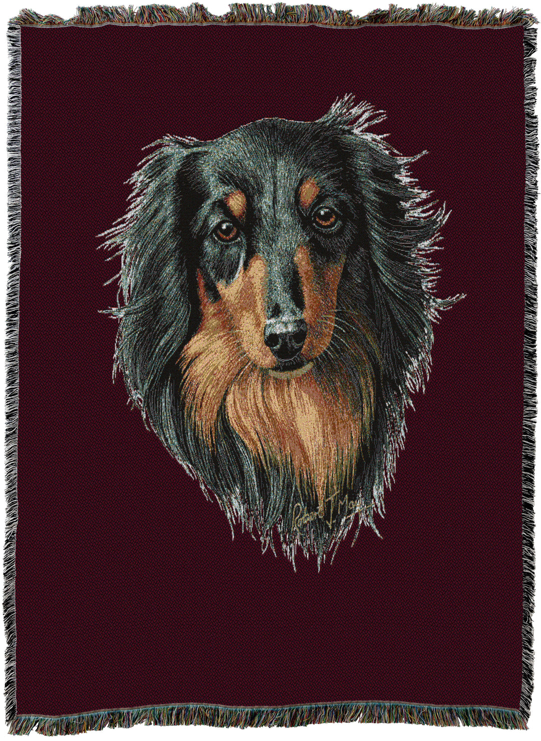 Long-haired Dachshund Black and Tan Throw