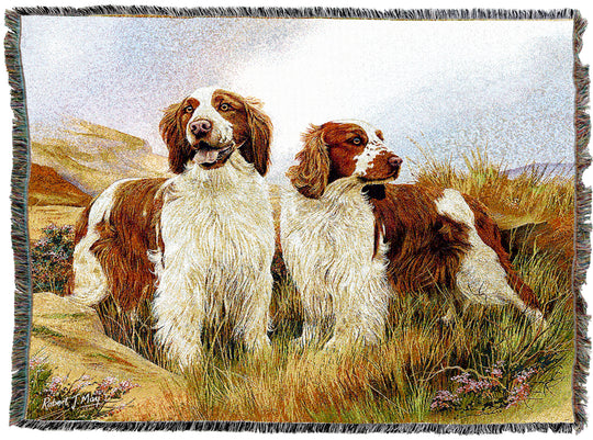 Welsh Springer Spaniel Throw