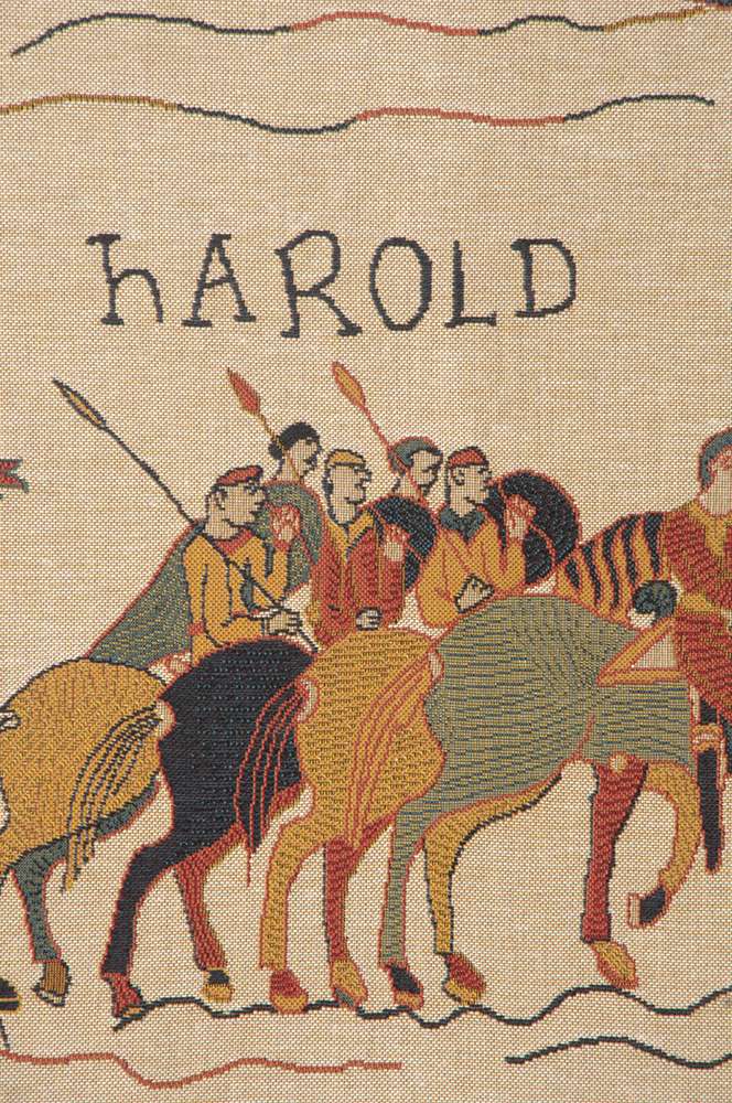 Harold and William Bayeux French Wall Tapestry