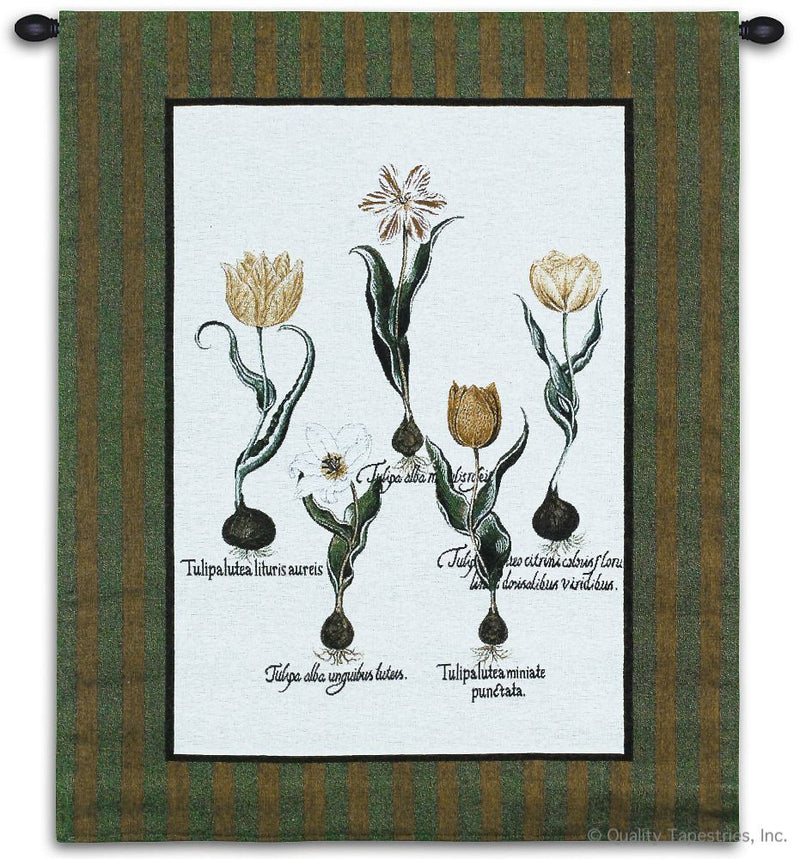 Tulip Study I Wall Tapestry