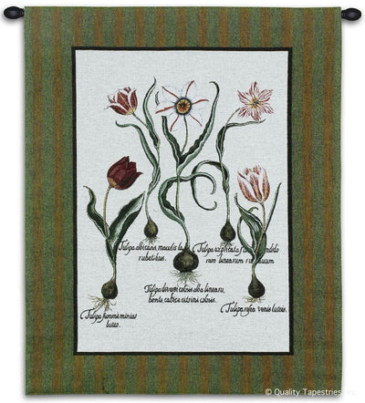 Tulip Study II Wall Tapestry