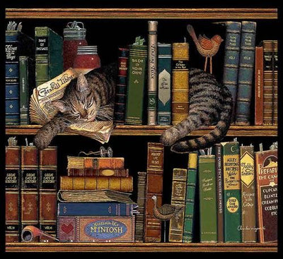Max In The Stacks Wall Tapestry