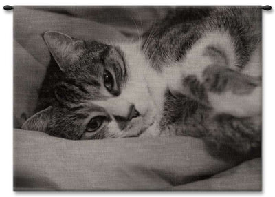 Tabby Cat Wall Tapestry