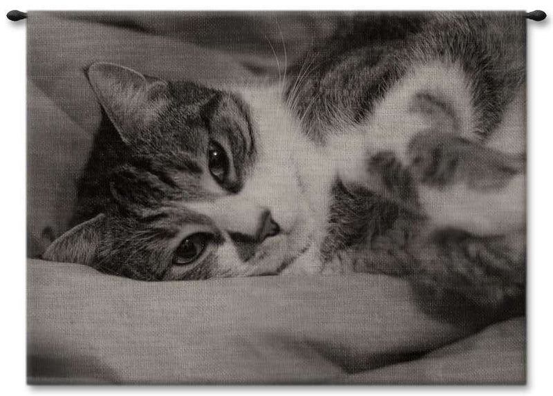 Tabby Cat Wall Tapestry