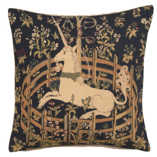 Captive Unicorn European Pillow Cover